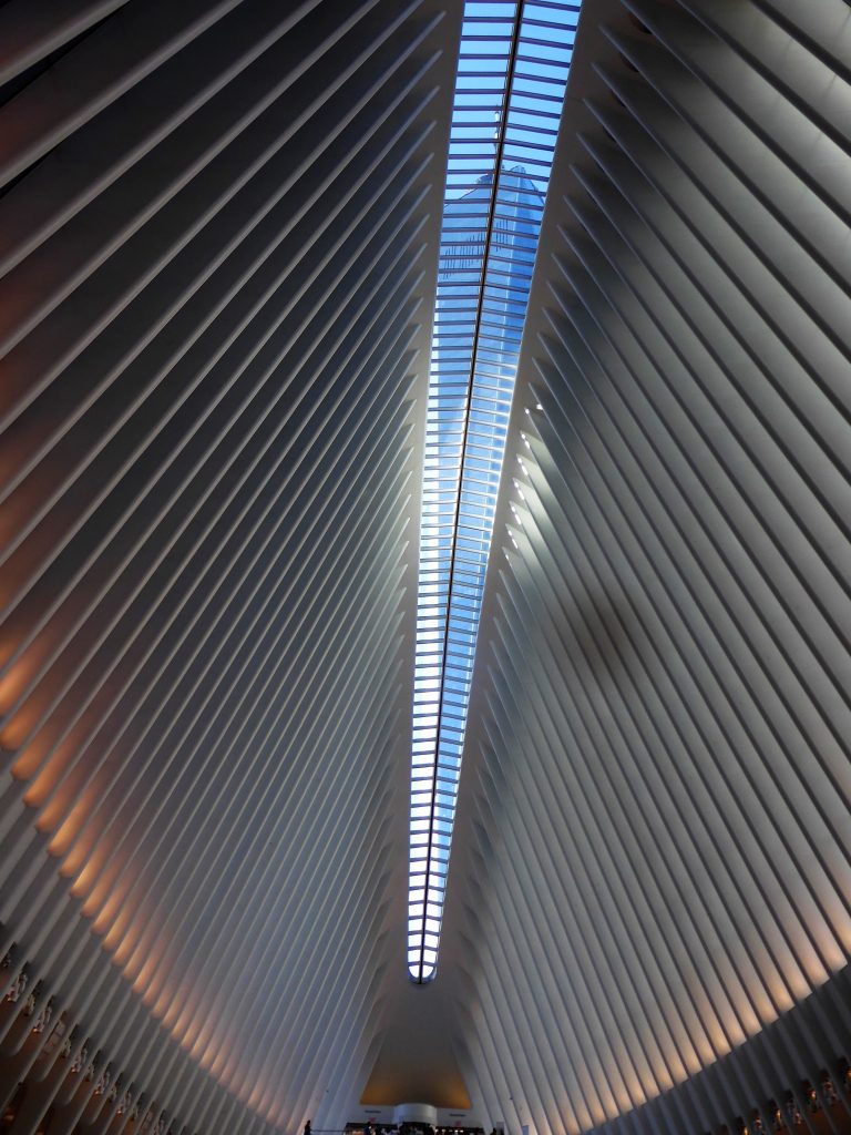 Ground Zero Oculus