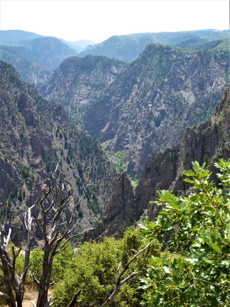 Black Canyon of the Gunnison Tomichi Point