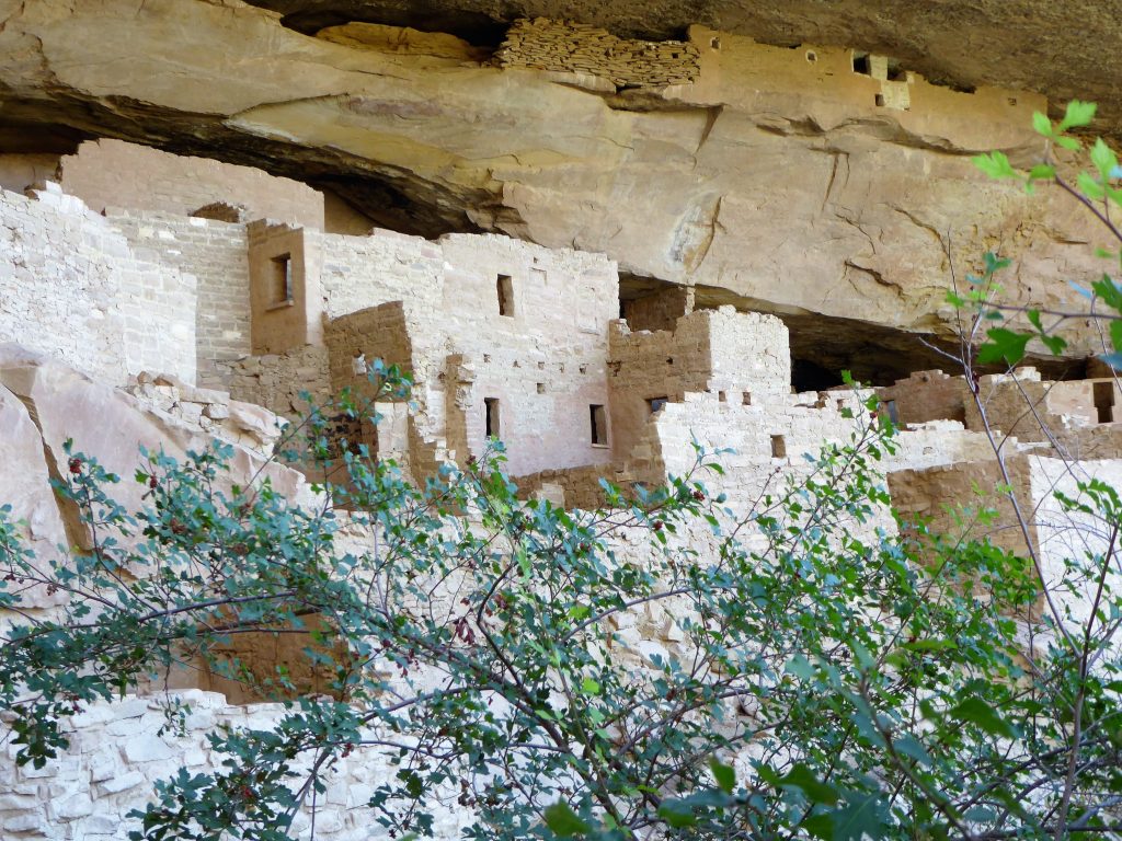 Ultimate Guide to the Cliff Palace Tour Bricks and Mortar