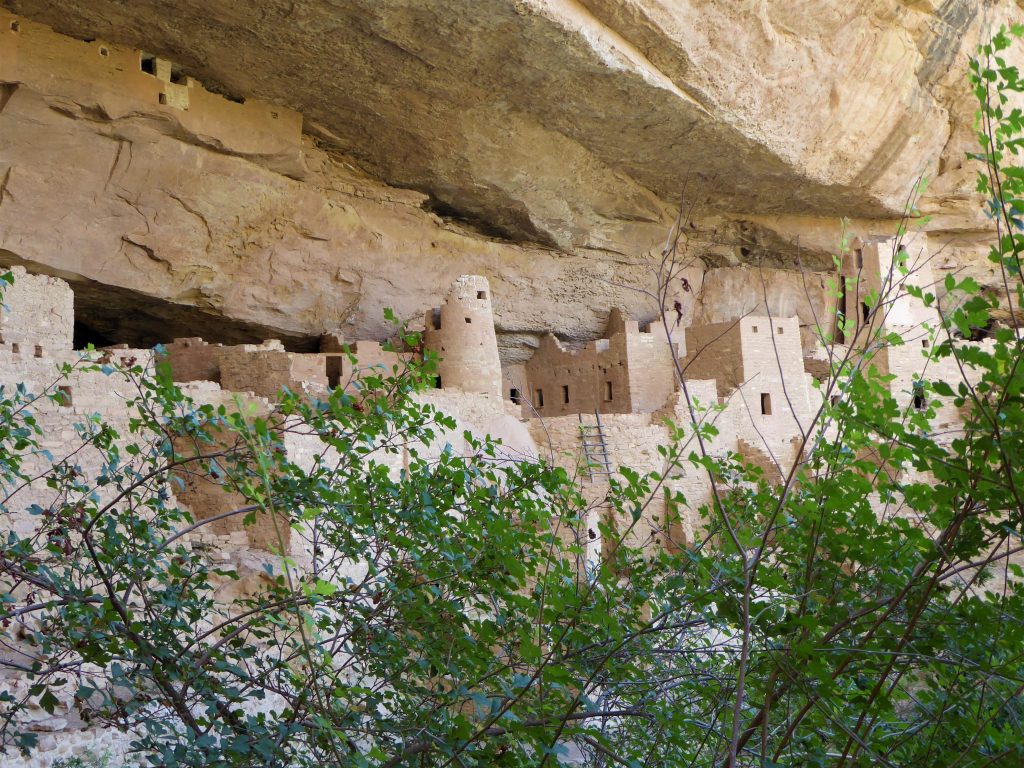 Ultimate Guide to the Cliff Palace Tour City