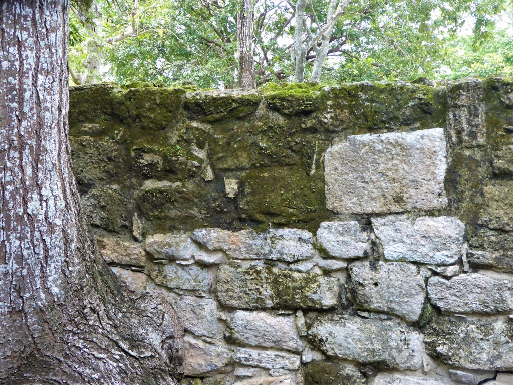 Mayan Ruins of San Gervasio Structures