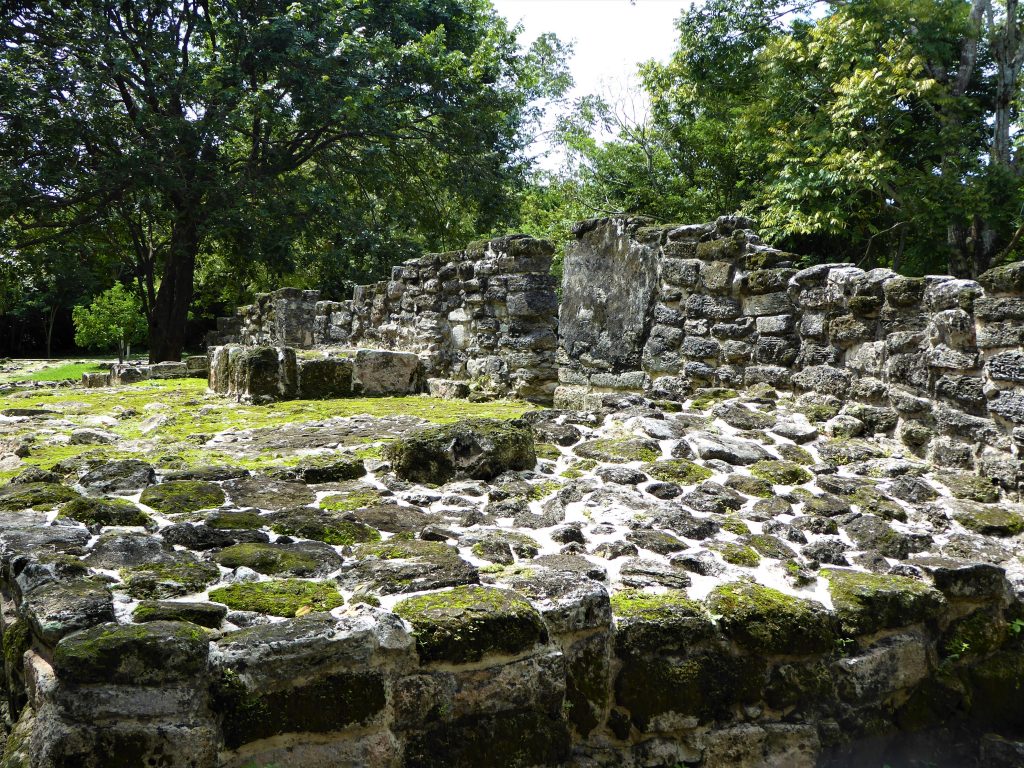 Mayan Ruins of San Gervasio Limestone