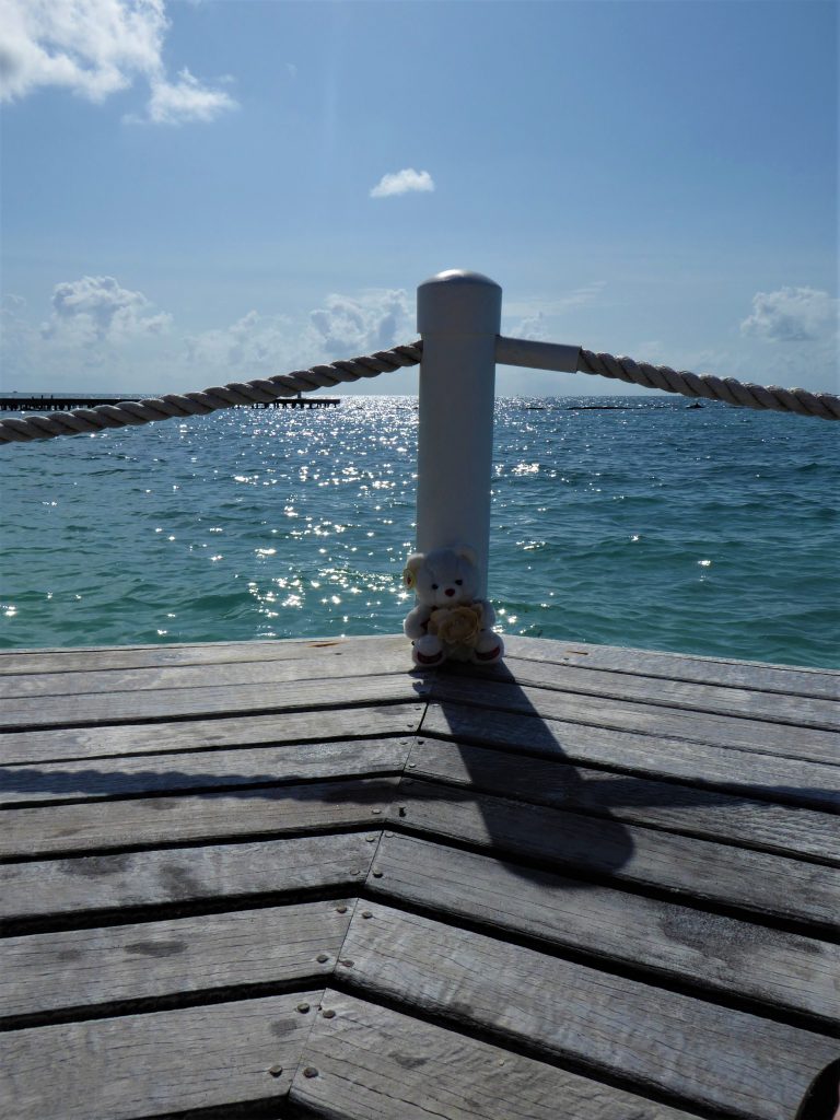 Starfish Island Belize Dock View