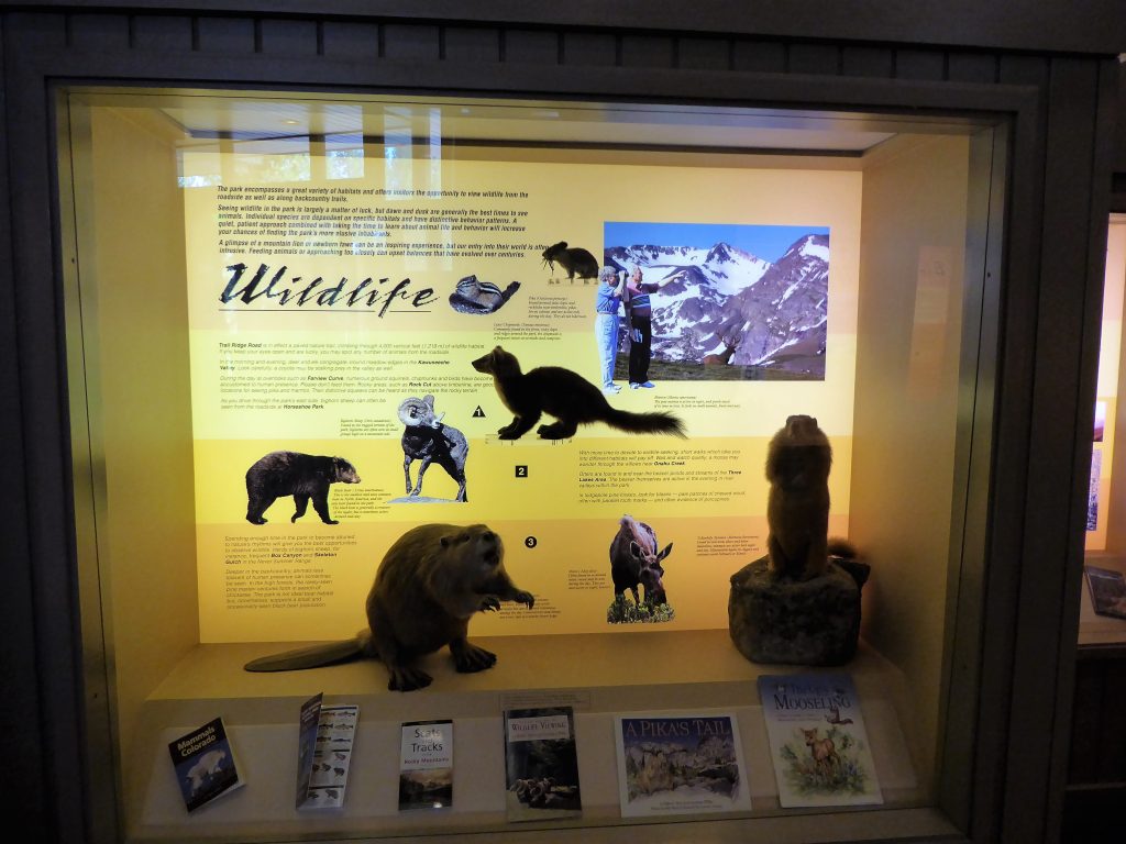 Rocky Mountain National Park Guide for Families Visitors Center