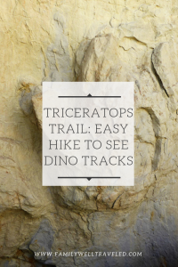 Triceratops Trail Hike in Golden, Colorado