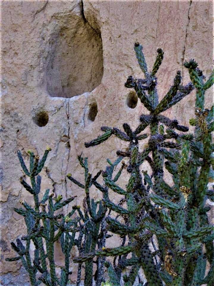 Nation Parks in New Mexico Bandelier