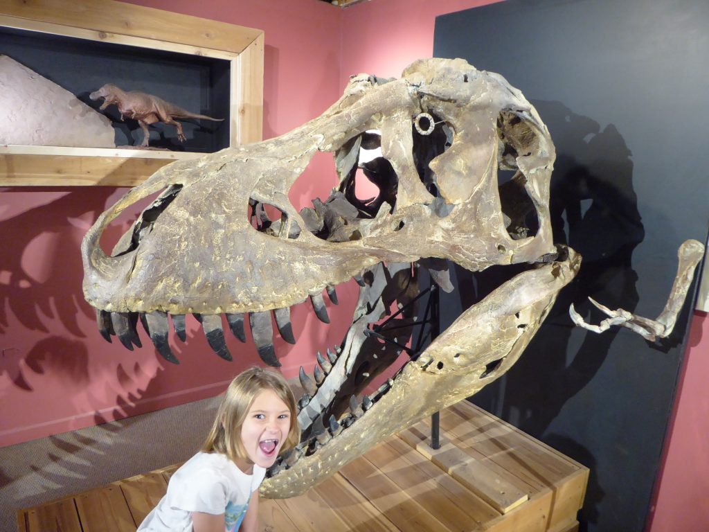 Morrison Natural History Museum T-Rex