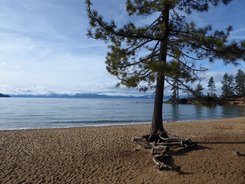 Trees, Mountains, and Lake Tahoe
