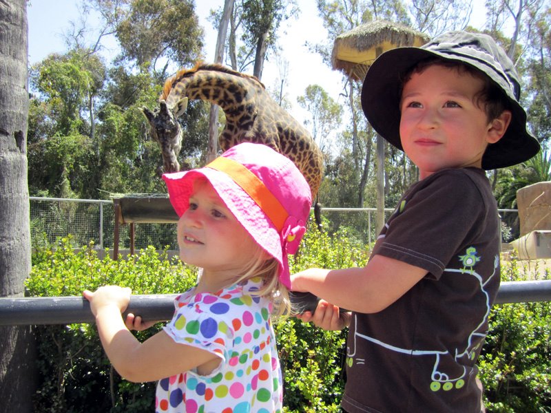 Vacations in the Cold San Diego Zoo