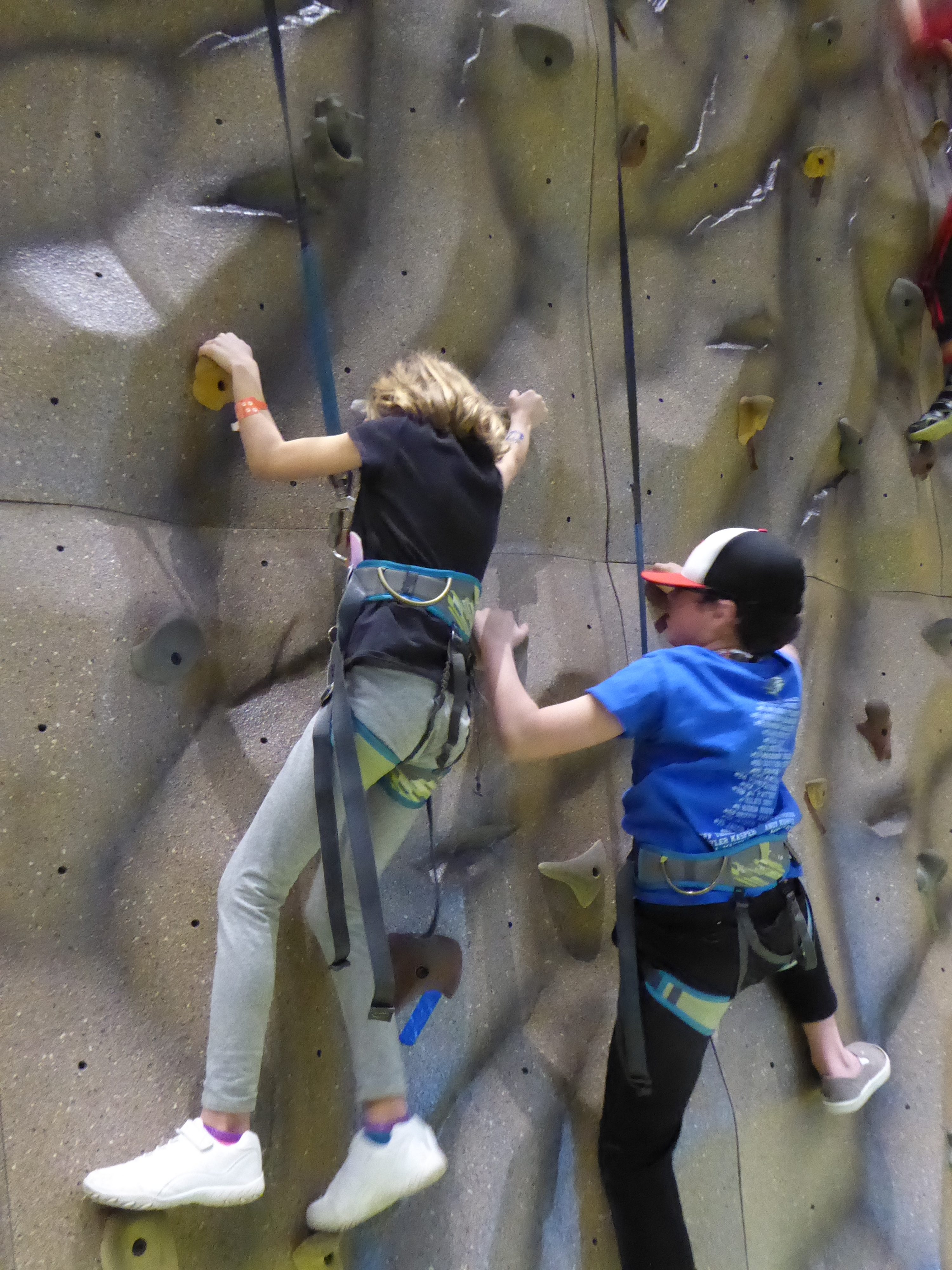 Rustic Ridge Rock Wall