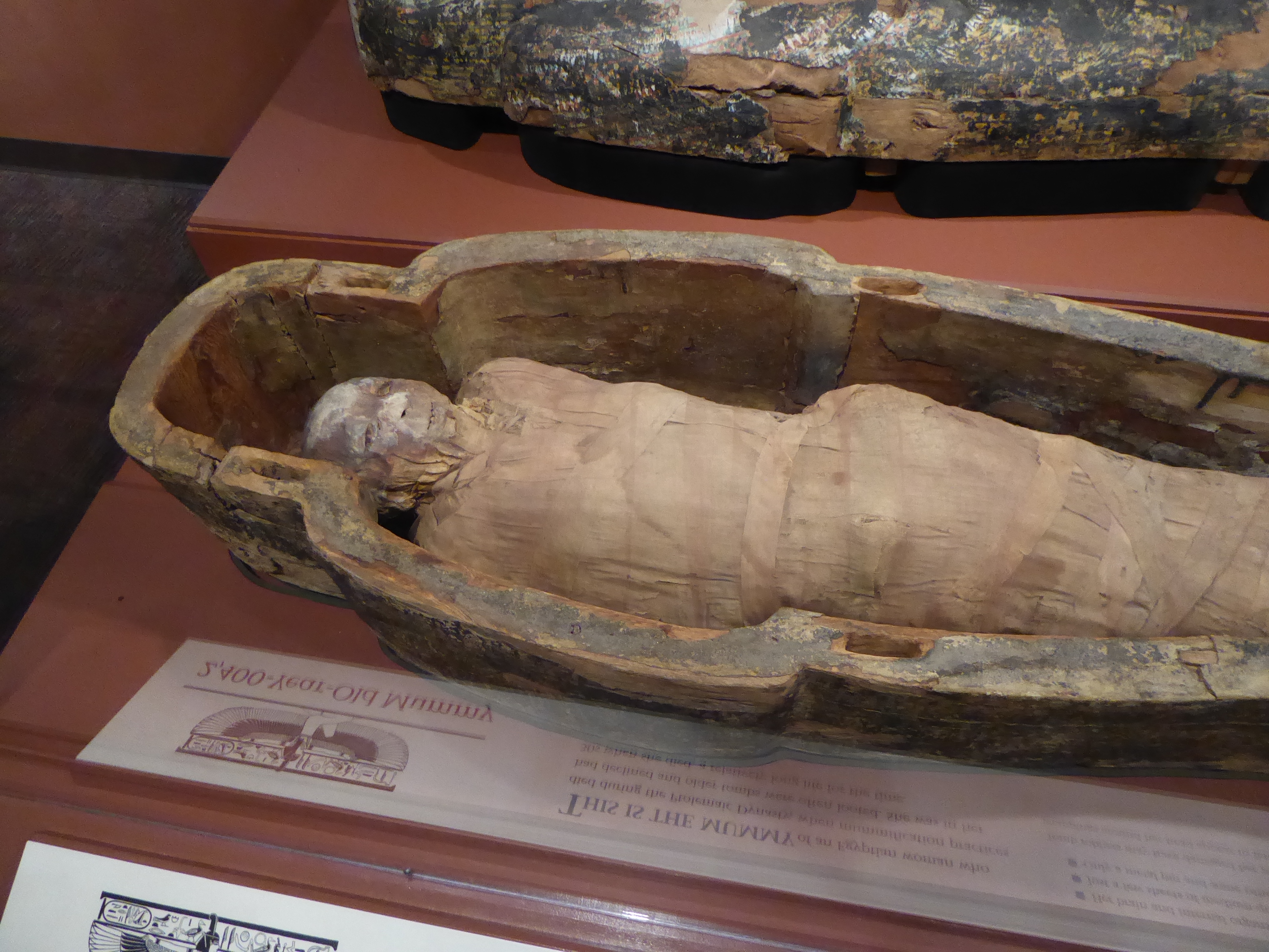 Mummified woman