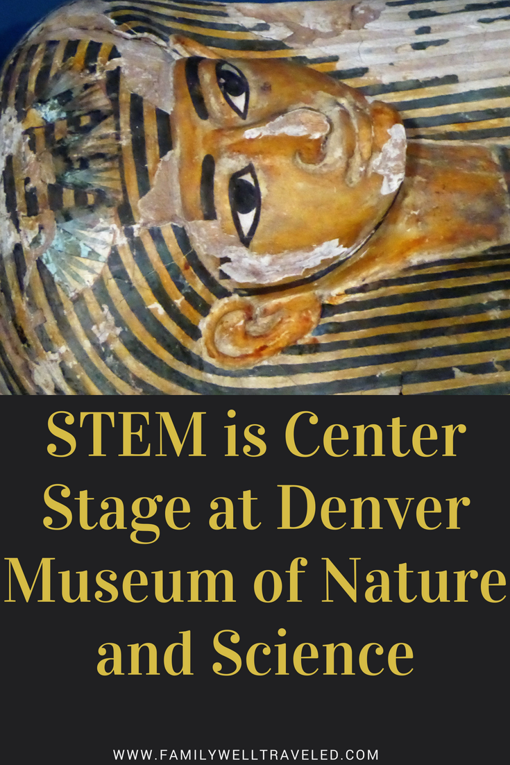 Denver Museum of Nature and Science Pin