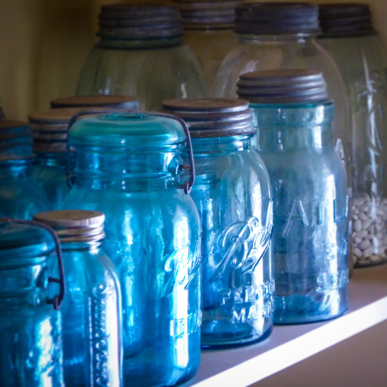 Denver Botanic Gardens Mason Jars