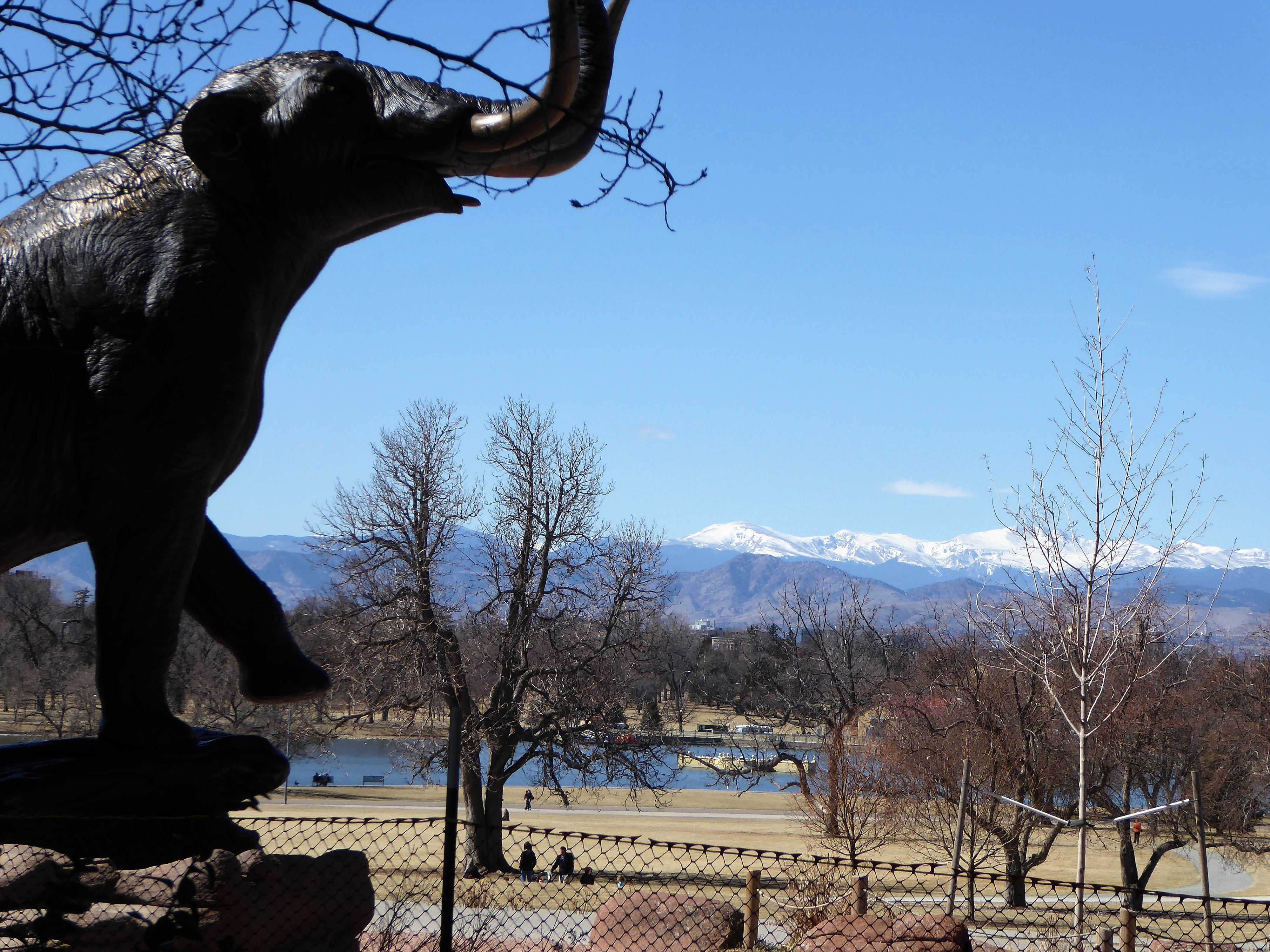 Denver Museum of Nature and Science Mountains