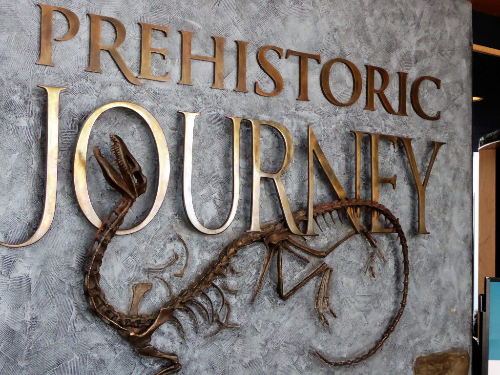 Denver Museum of Nature and Science Prehistoric Journey