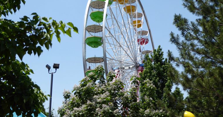Your Ultimate Guide to Elitch Gardens Theme Park