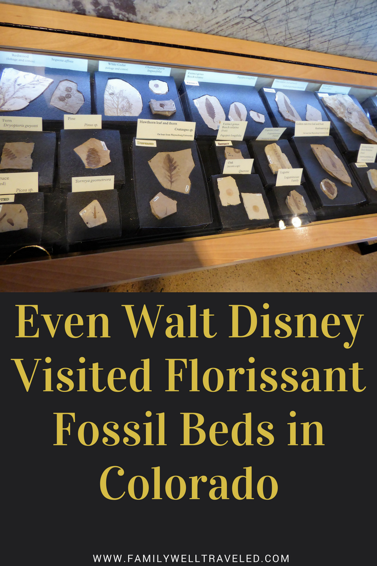 Florissant Fossil Beds Pin