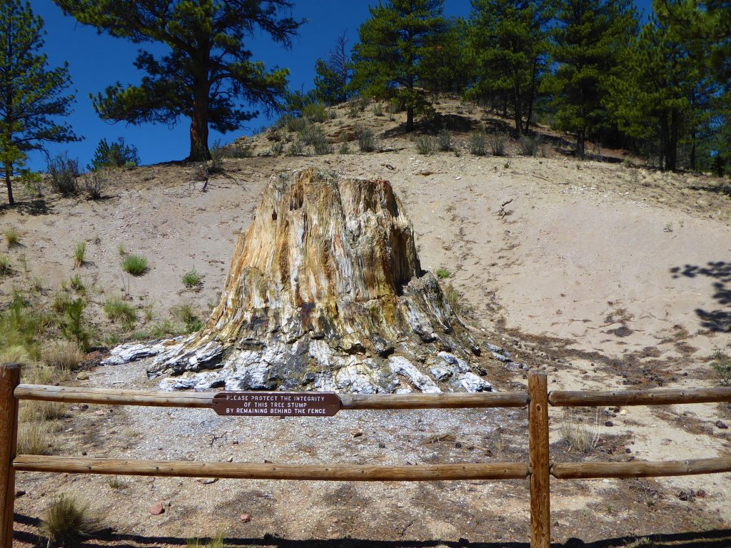 Florissant Fossil Beds Big Stump