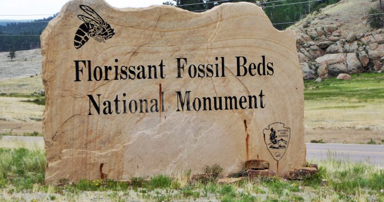 Even Walt Disney Visited Florissant Fossil Beds National Monument