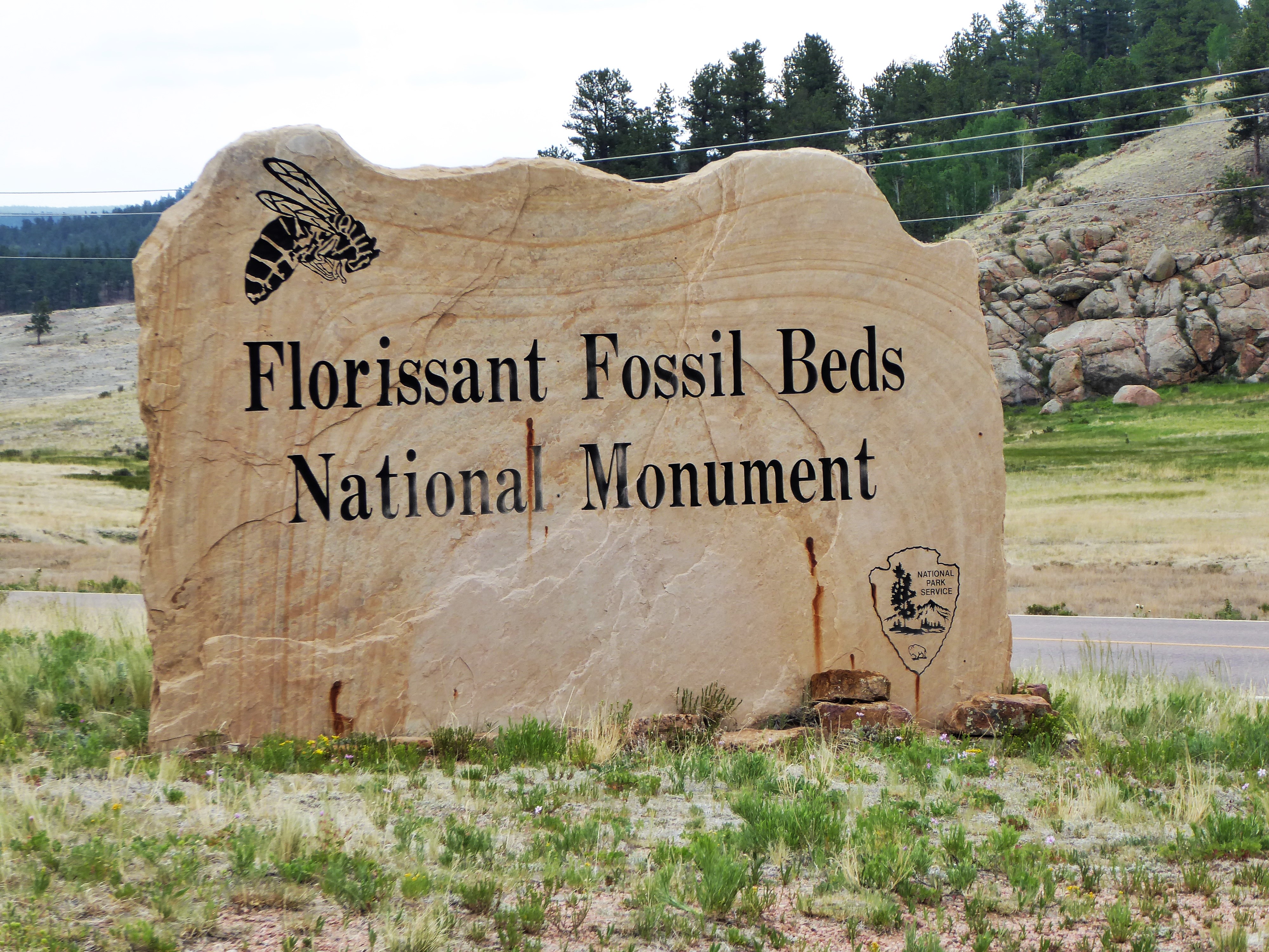 Even Walt Disney Visited Florissant Fossil Beds National Monument