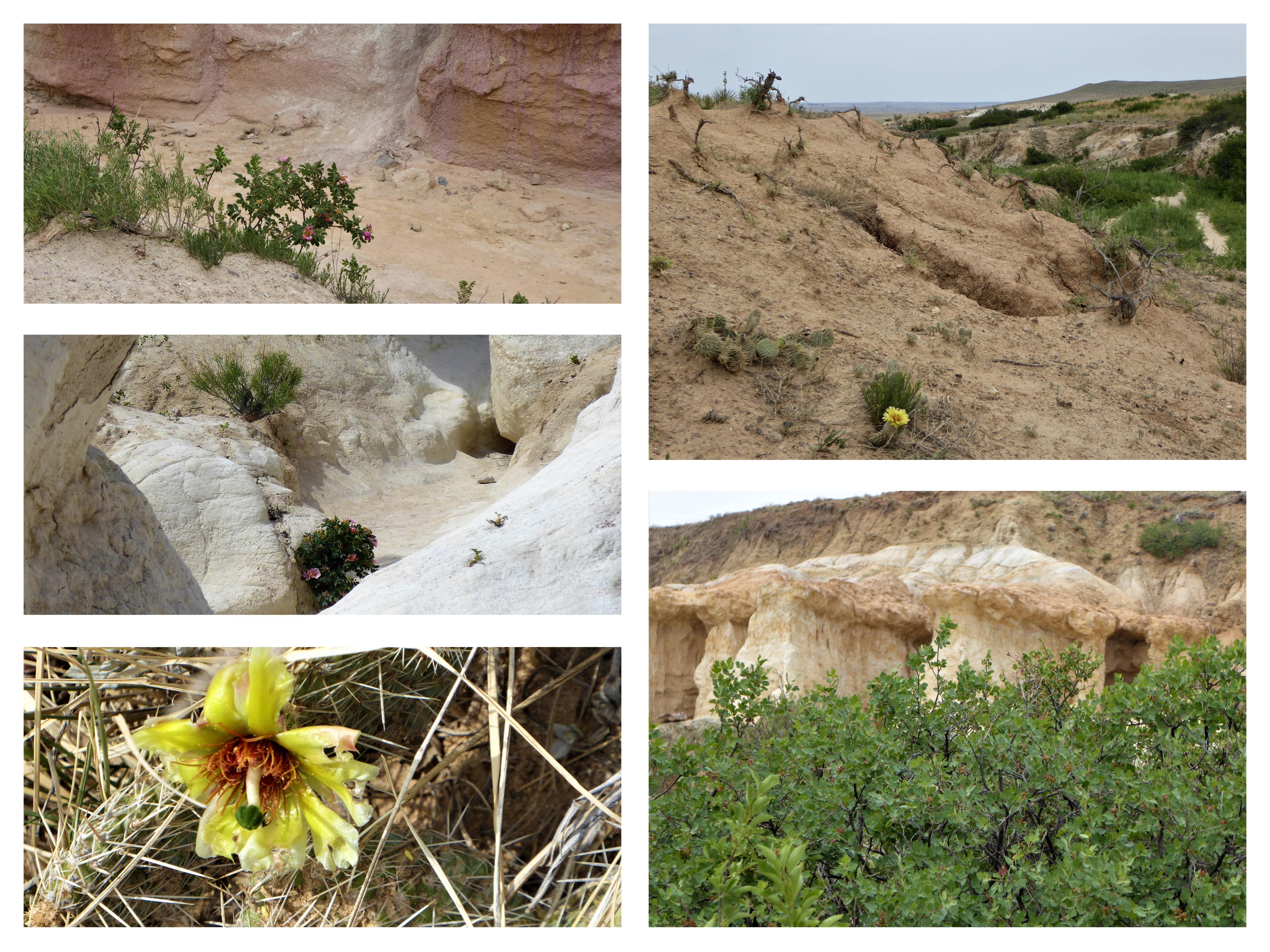 Paint Mines Interpretive Park