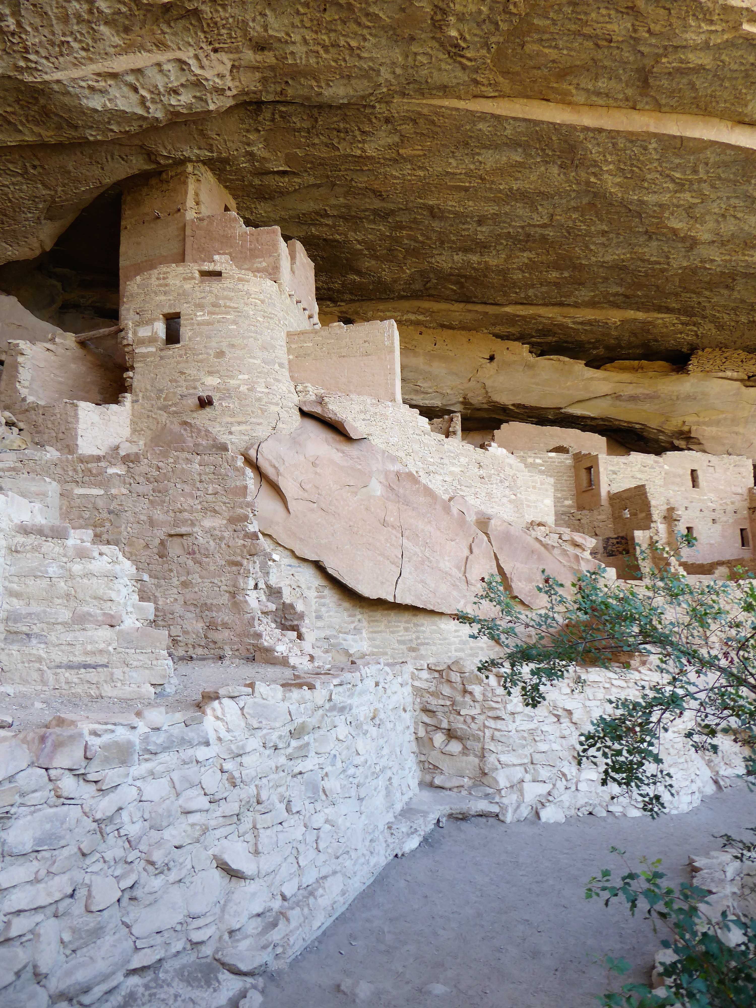 Essential Guide to the Cliff Palace Tour Entrance