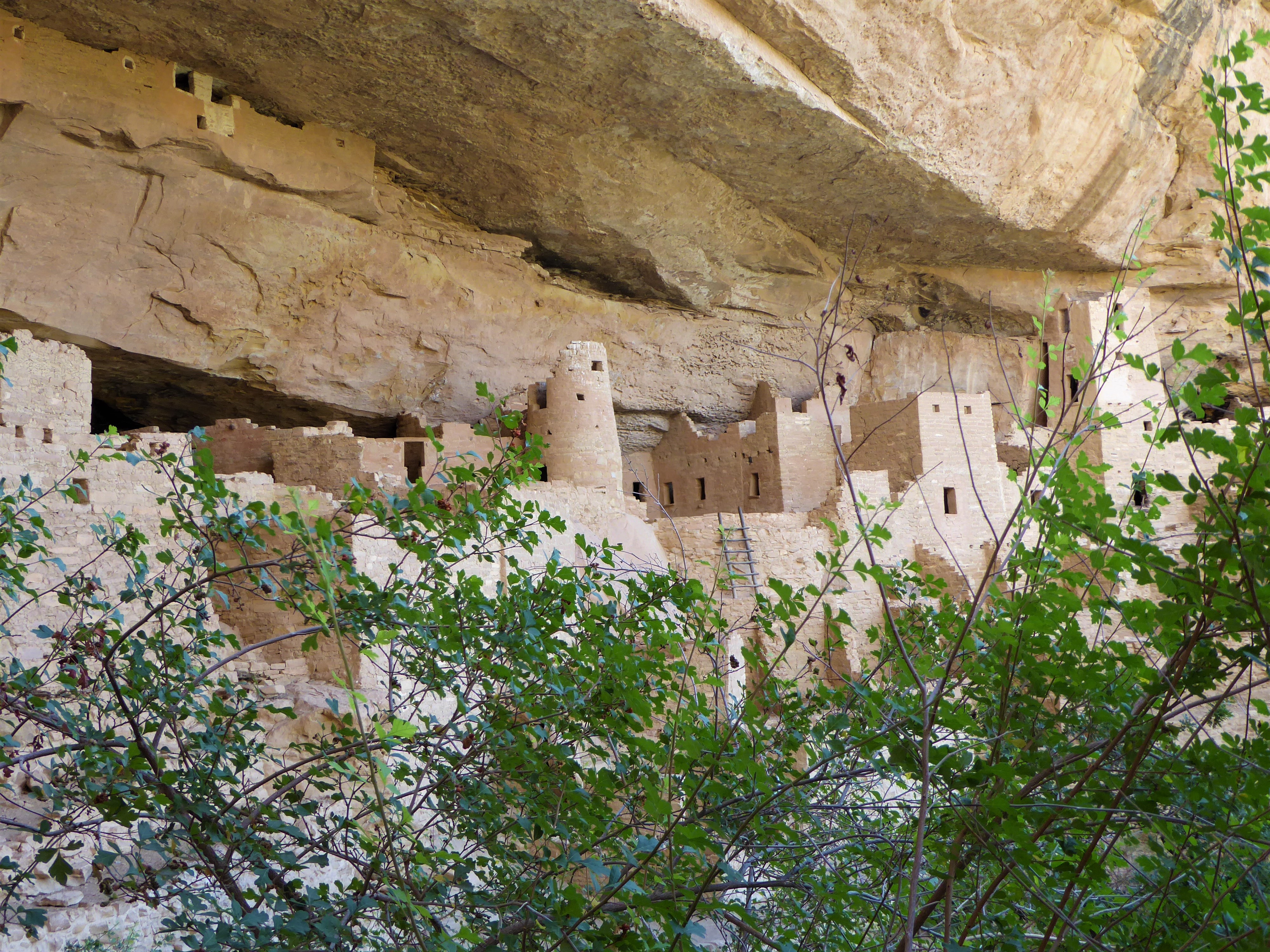 Essential Guide to the Cliff Palace Tour City
