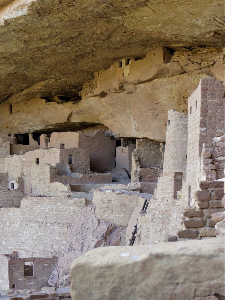 Ultimate Guide to Cliff Palace Tour Turret