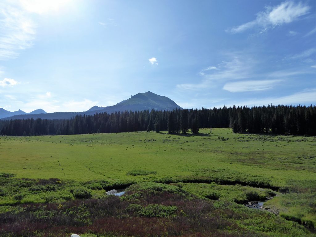 Colorado Highway 145 meadow