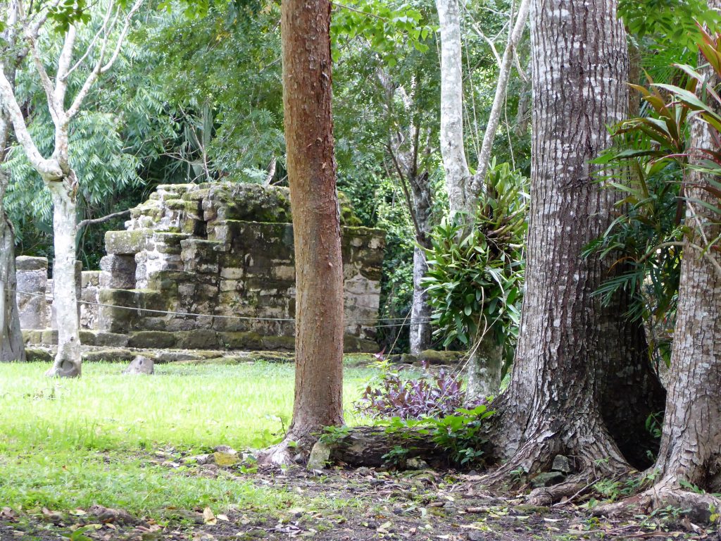 Mayan Ruins of San Gervasio Chi Chan Nah