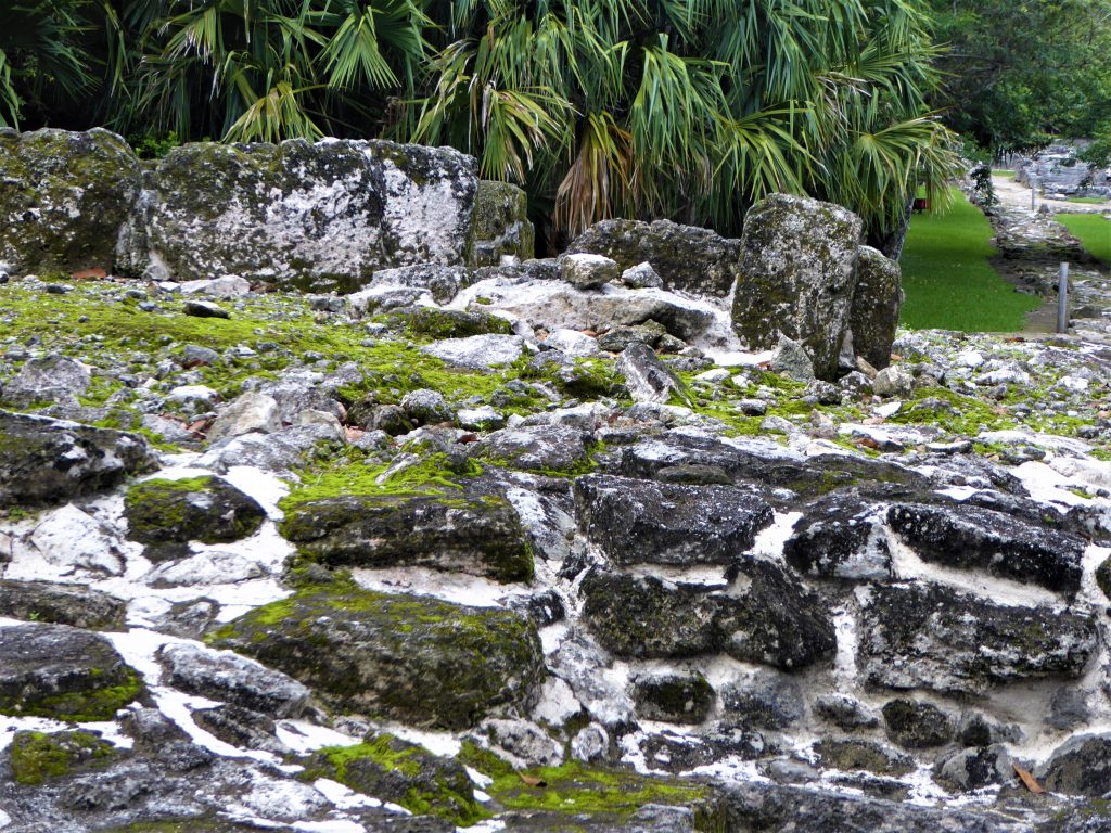 Mayan Ruins of San Gervasio La Tumba
