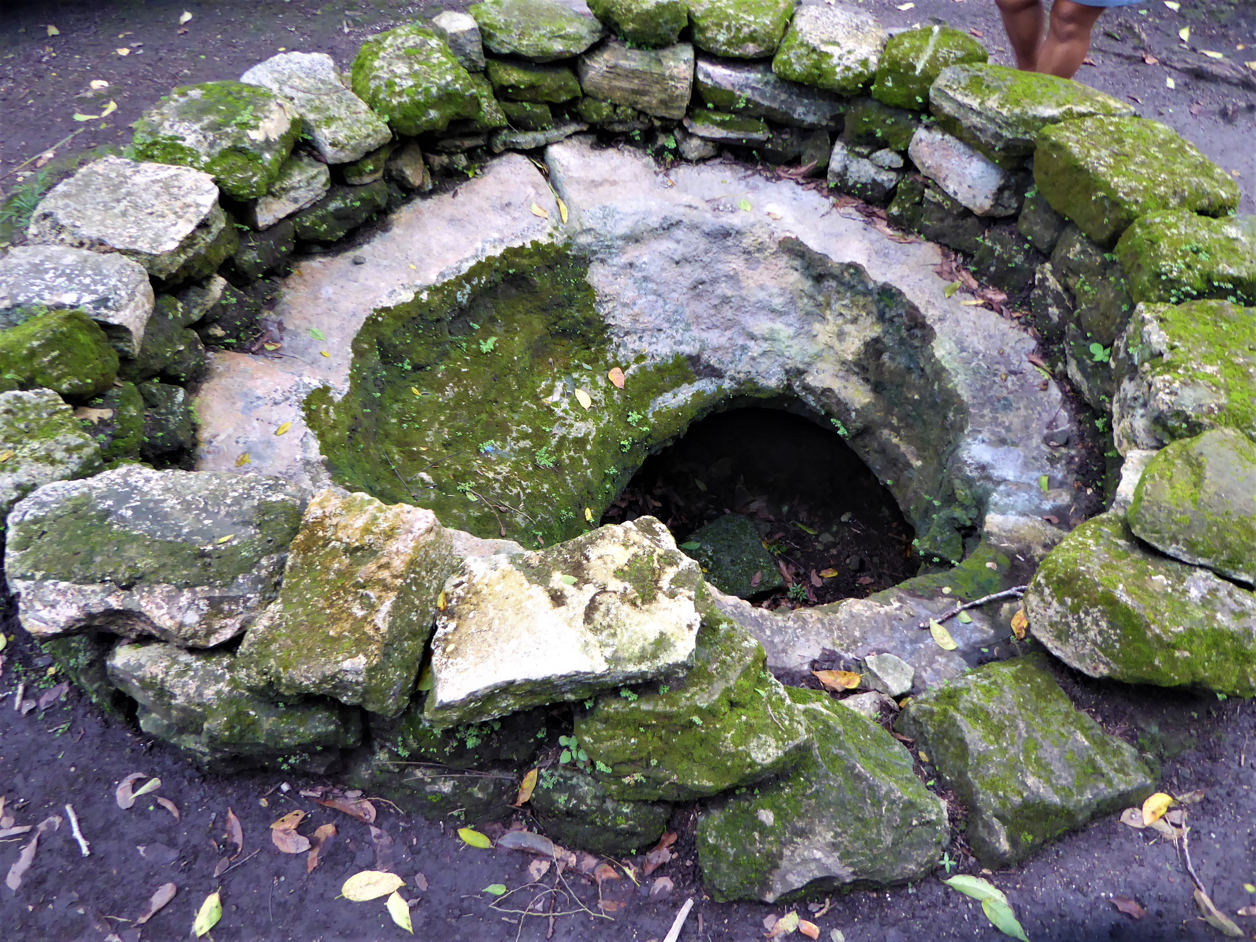 Mayan Ruins of San Gervasio Cenote