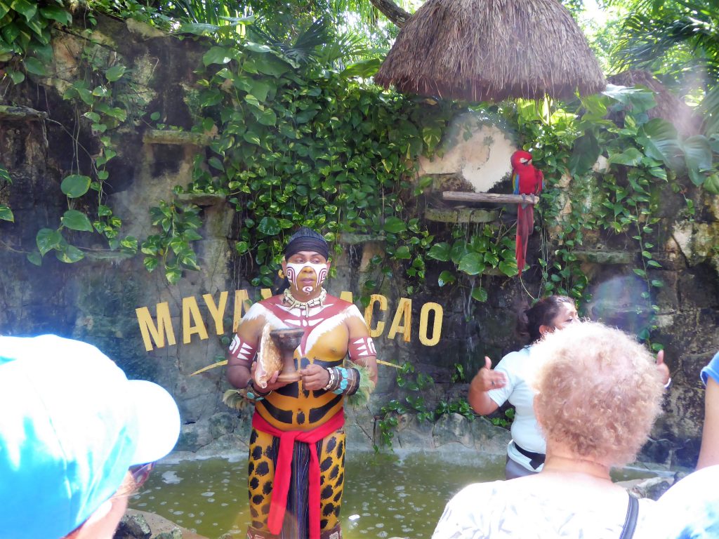 Mayan Cacao Company Maya and Macaw