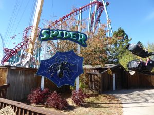 Elitch Gardens Theme Park Spider