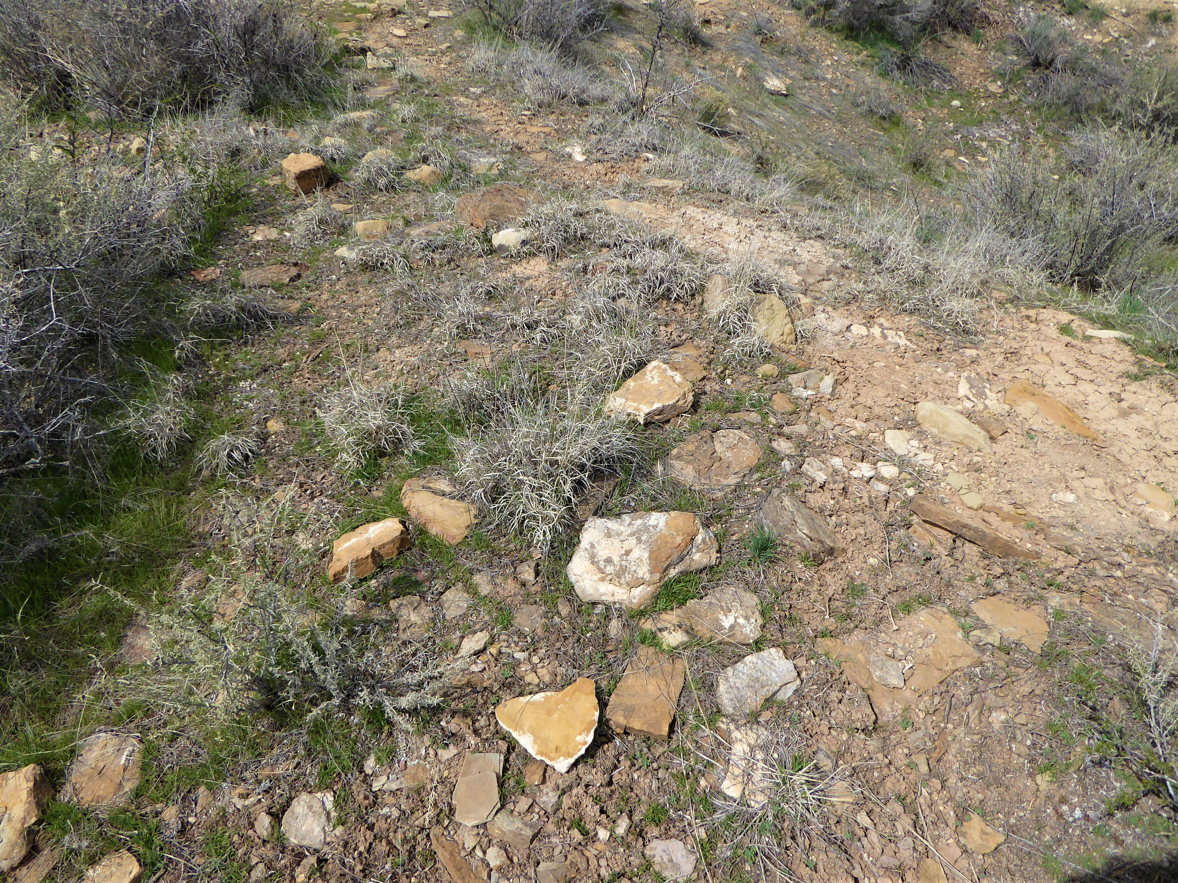 Yucca House National Monument Ancient Rocks