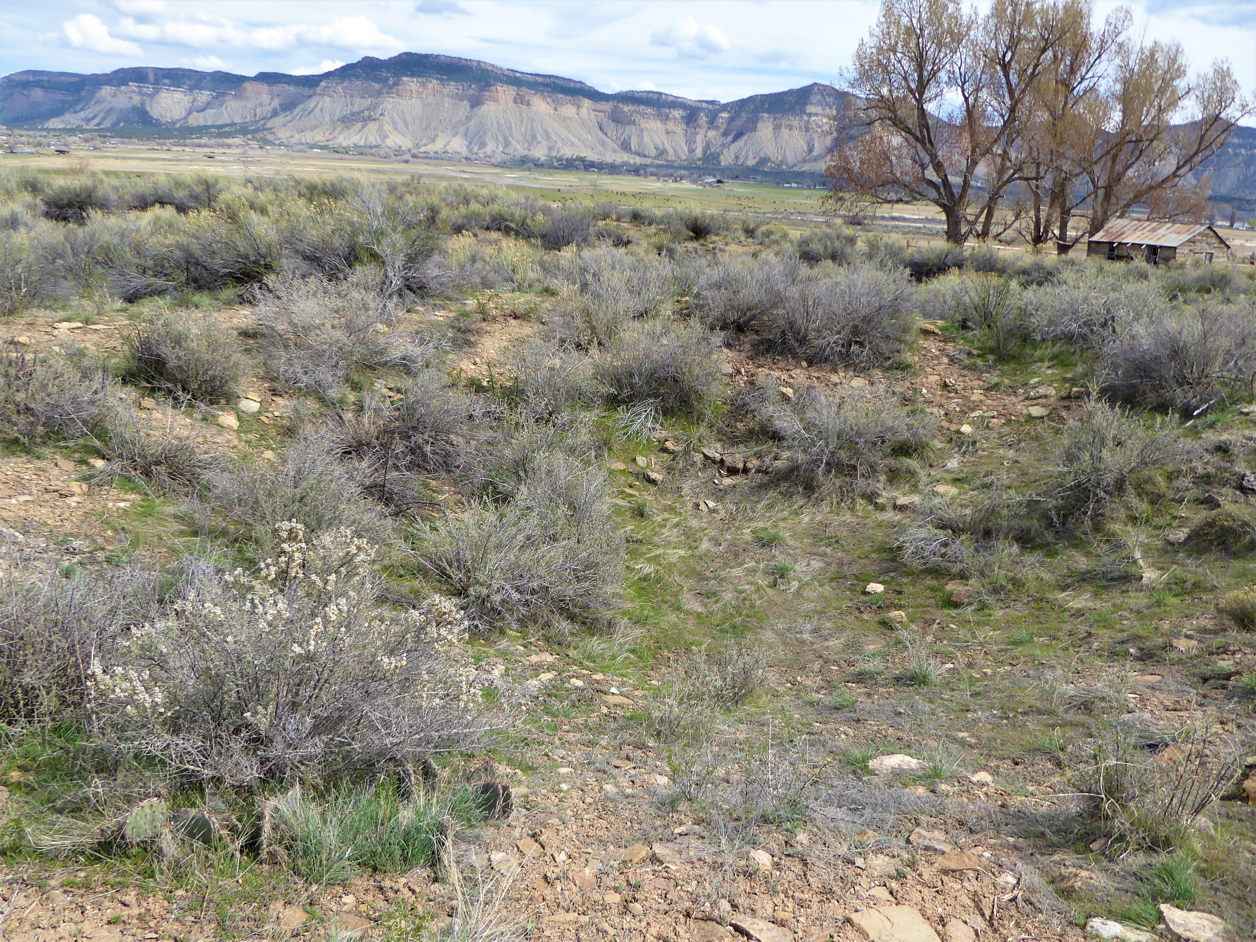 Yucca House National Monument Eastern View