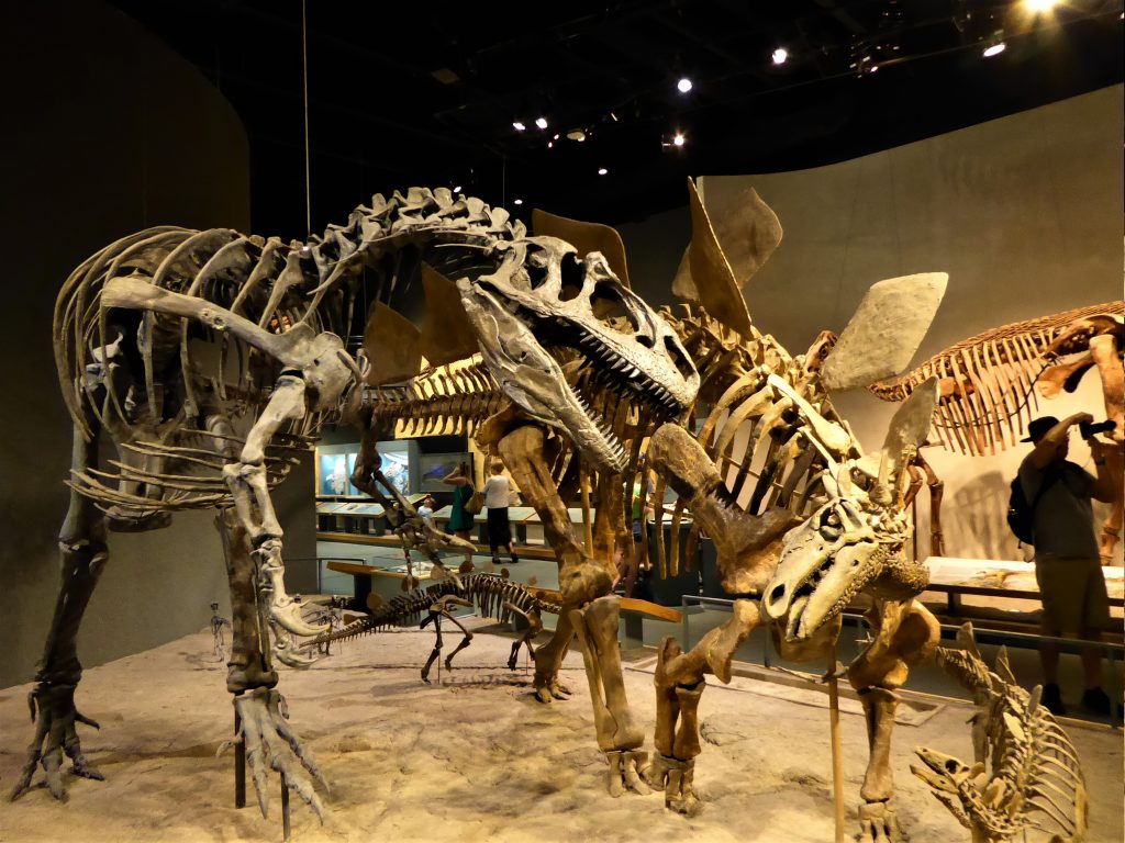 Prehistoric Locations Around Denver Museum of Nature and Science