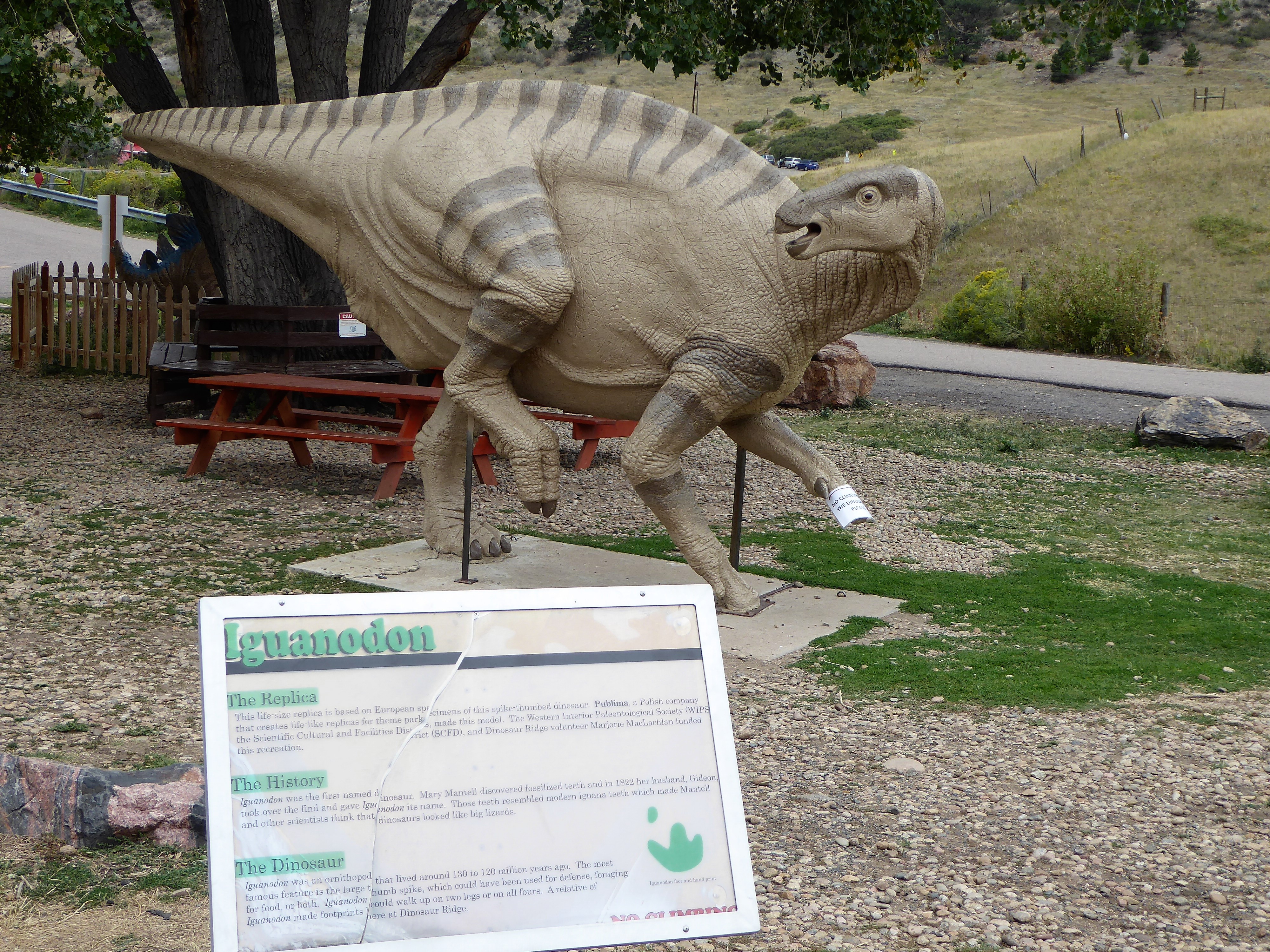 Dinosaur Ridge Iguanadon