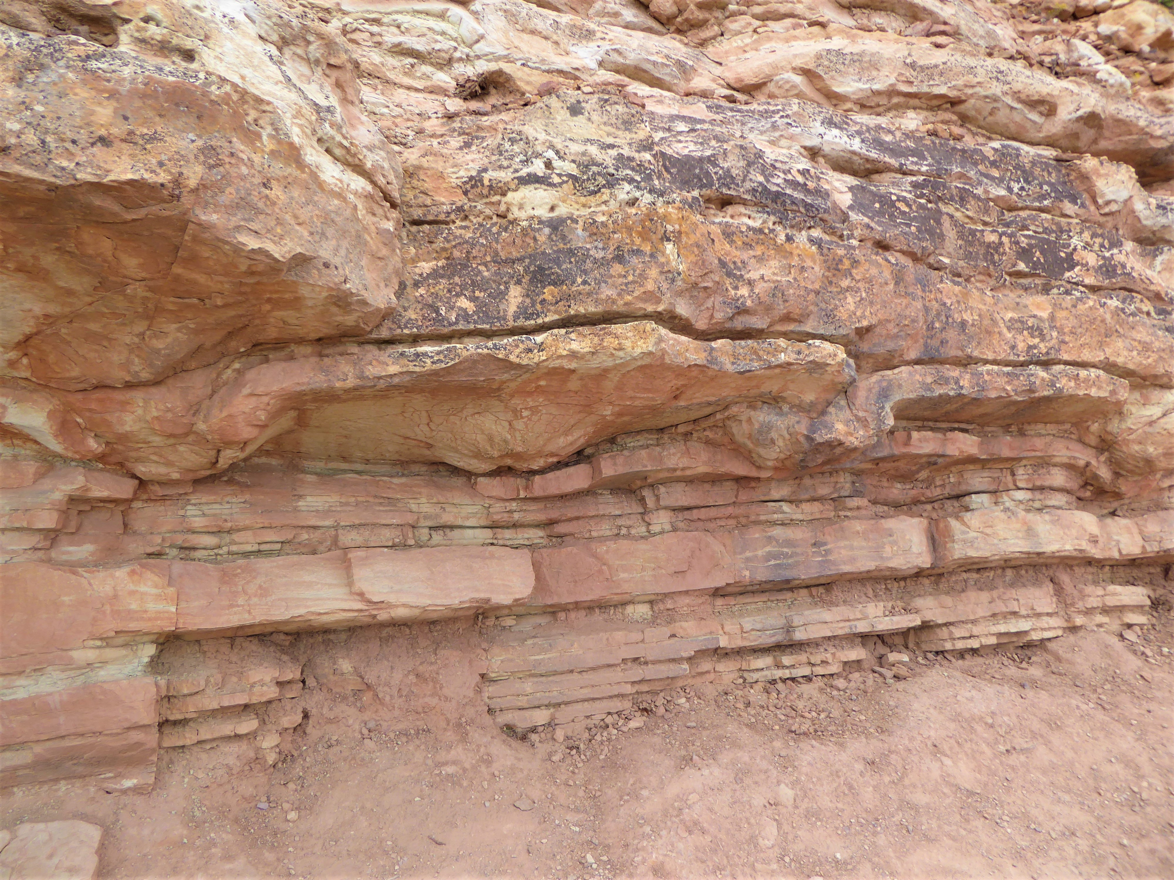 Dinosaur Ridge More Bulges