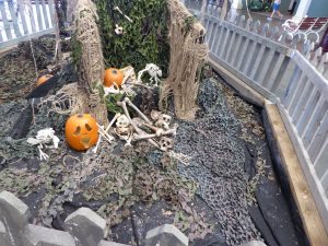 Ultimate Guide to Elitch Gardens Graveyard
