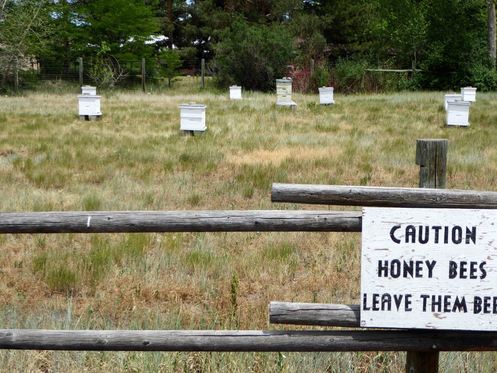 Four Mile Historic Park Orchard