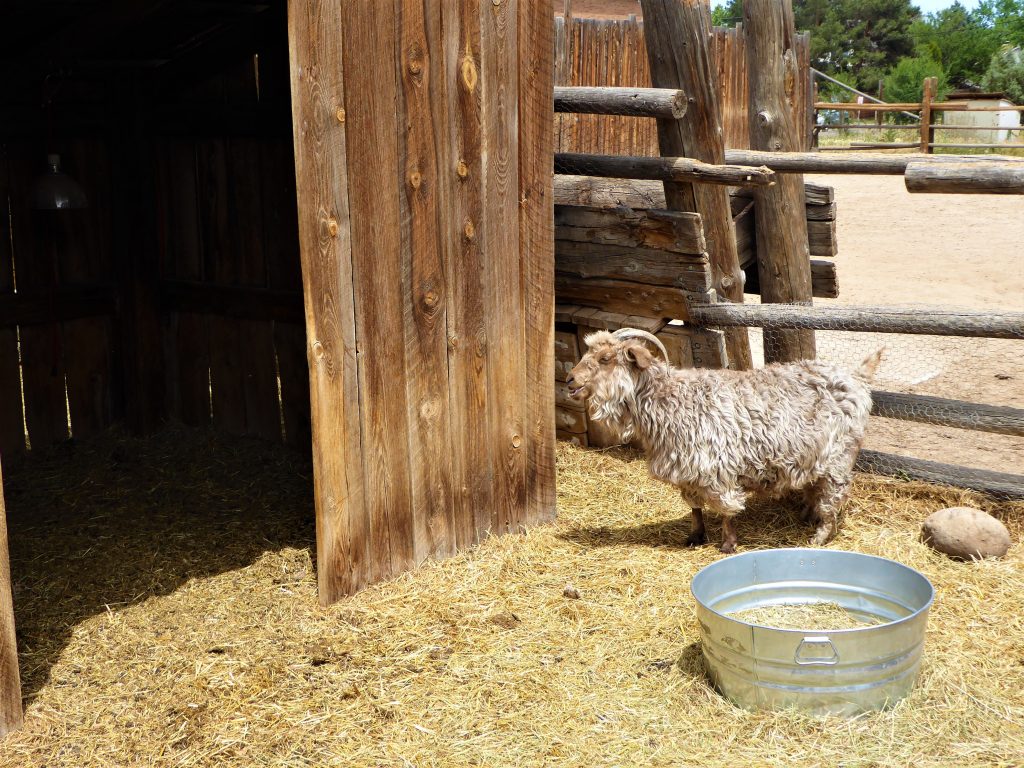 Four Mile Historic Park Goat Barn