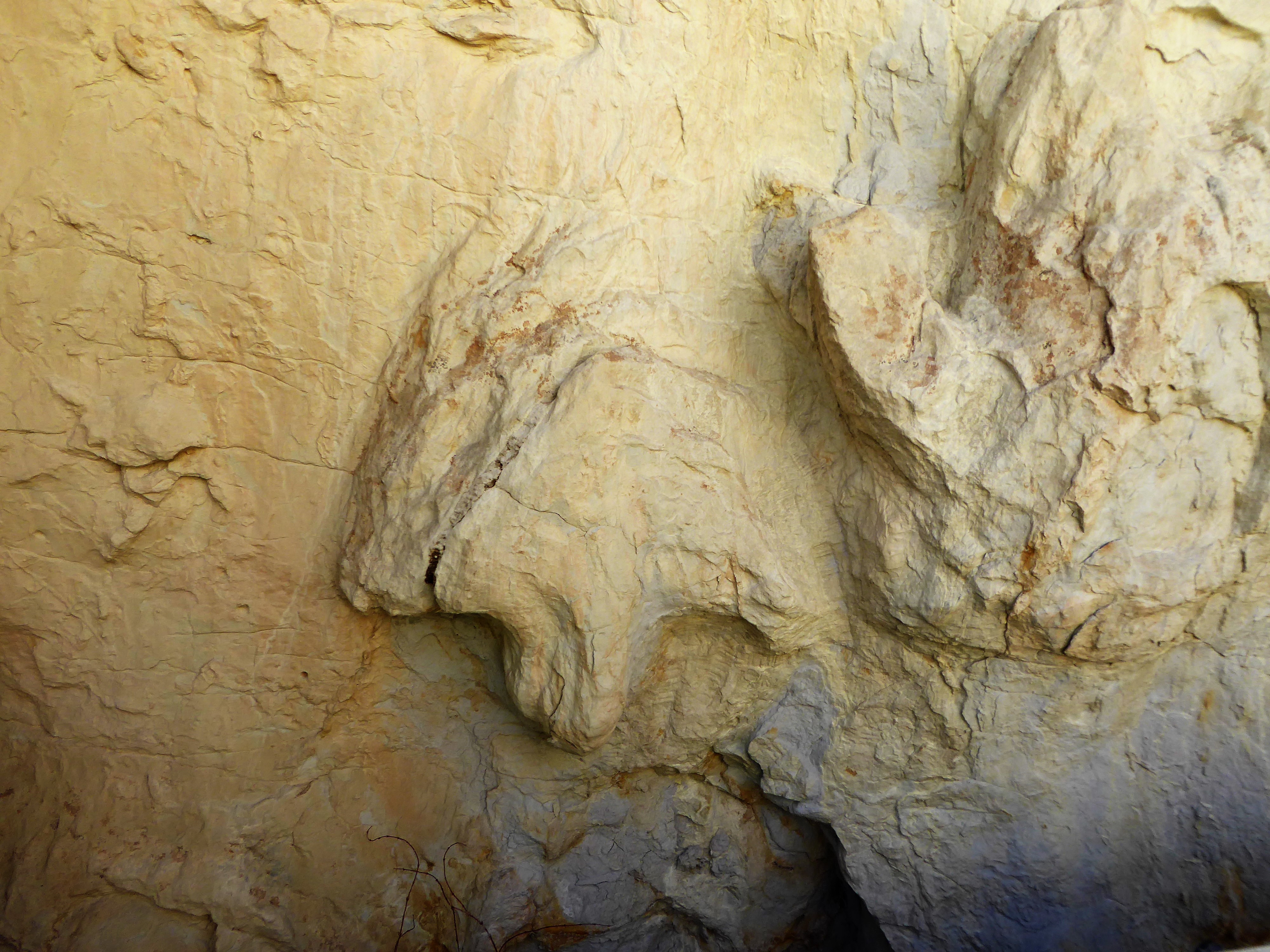 Dinosaur Ridge Triceratops Trail