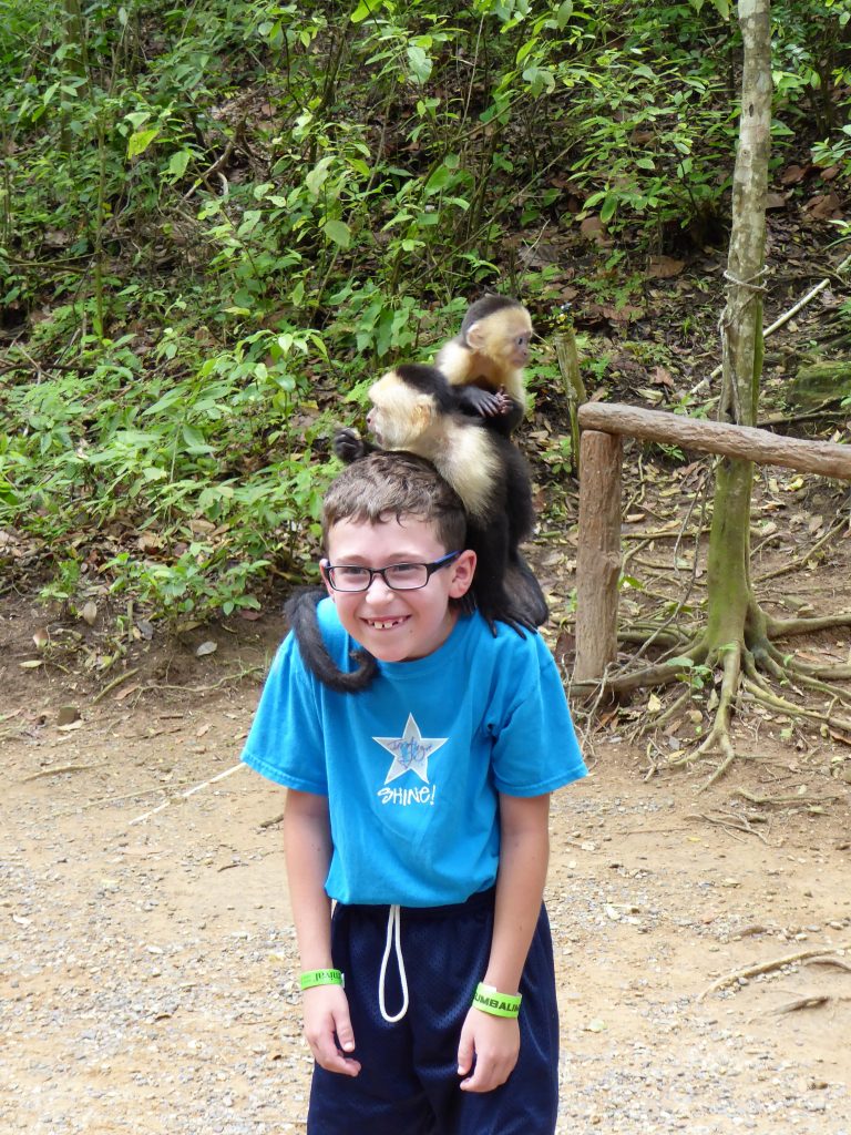 Gumbalimba Park Roatan Island Capuchin Monkey