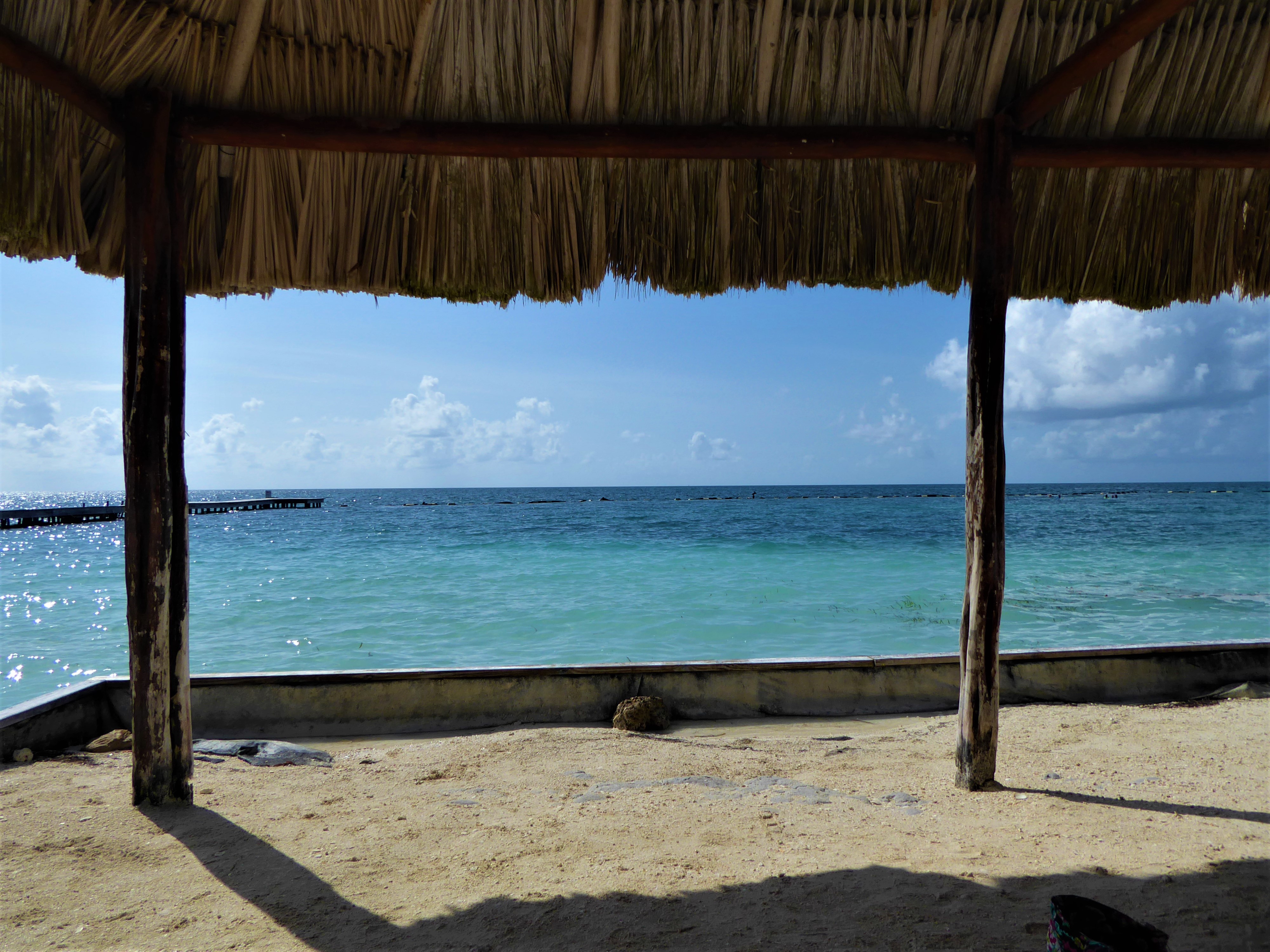 Spending the Day at Starfish Island, Belize