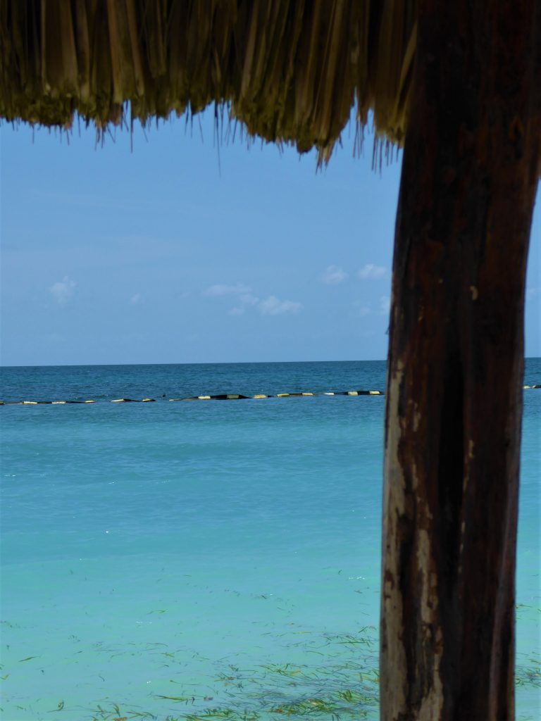 Starfish Island Belize Caribbean Sea