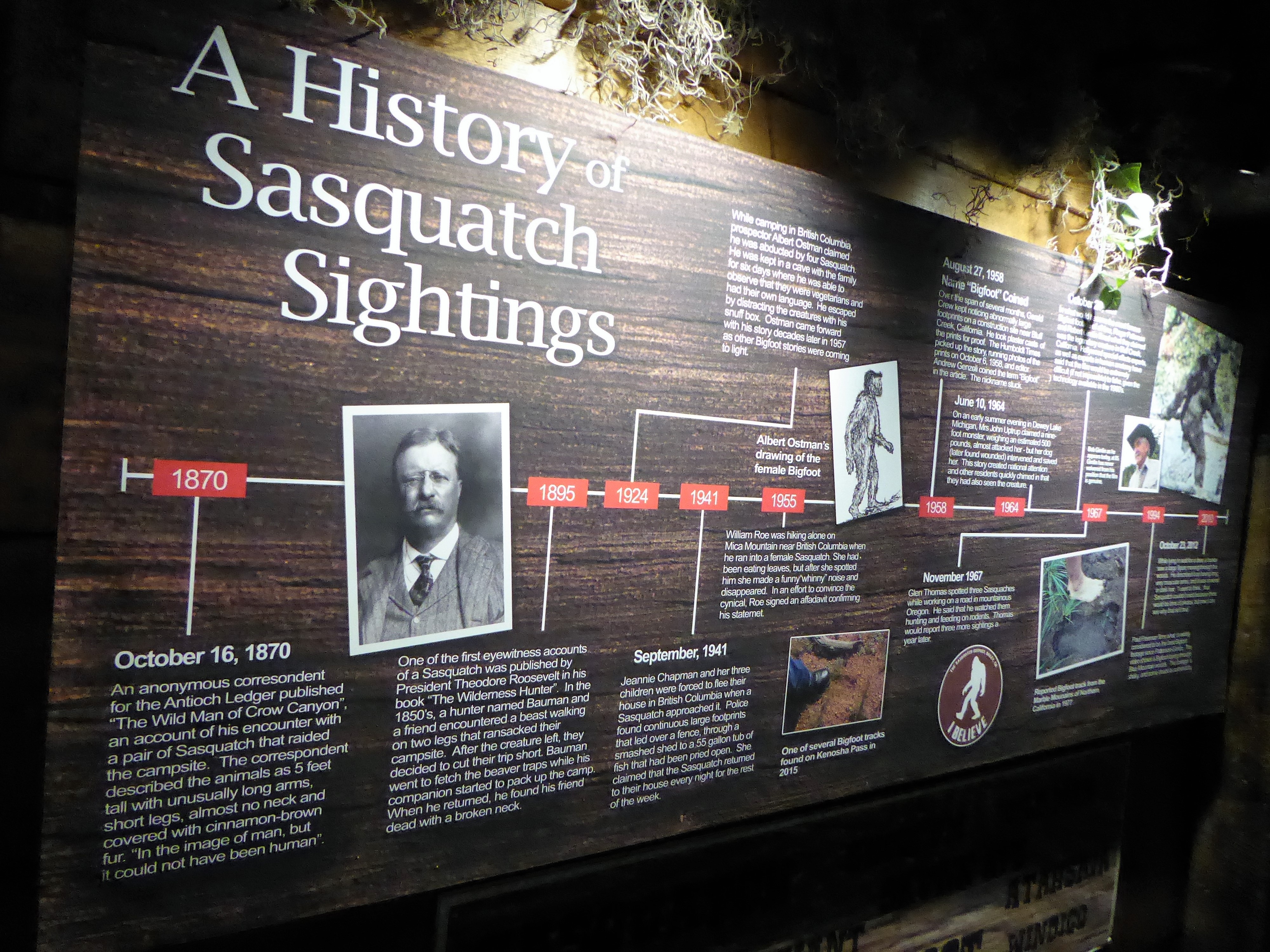 Sasquatch Outpost Timeline