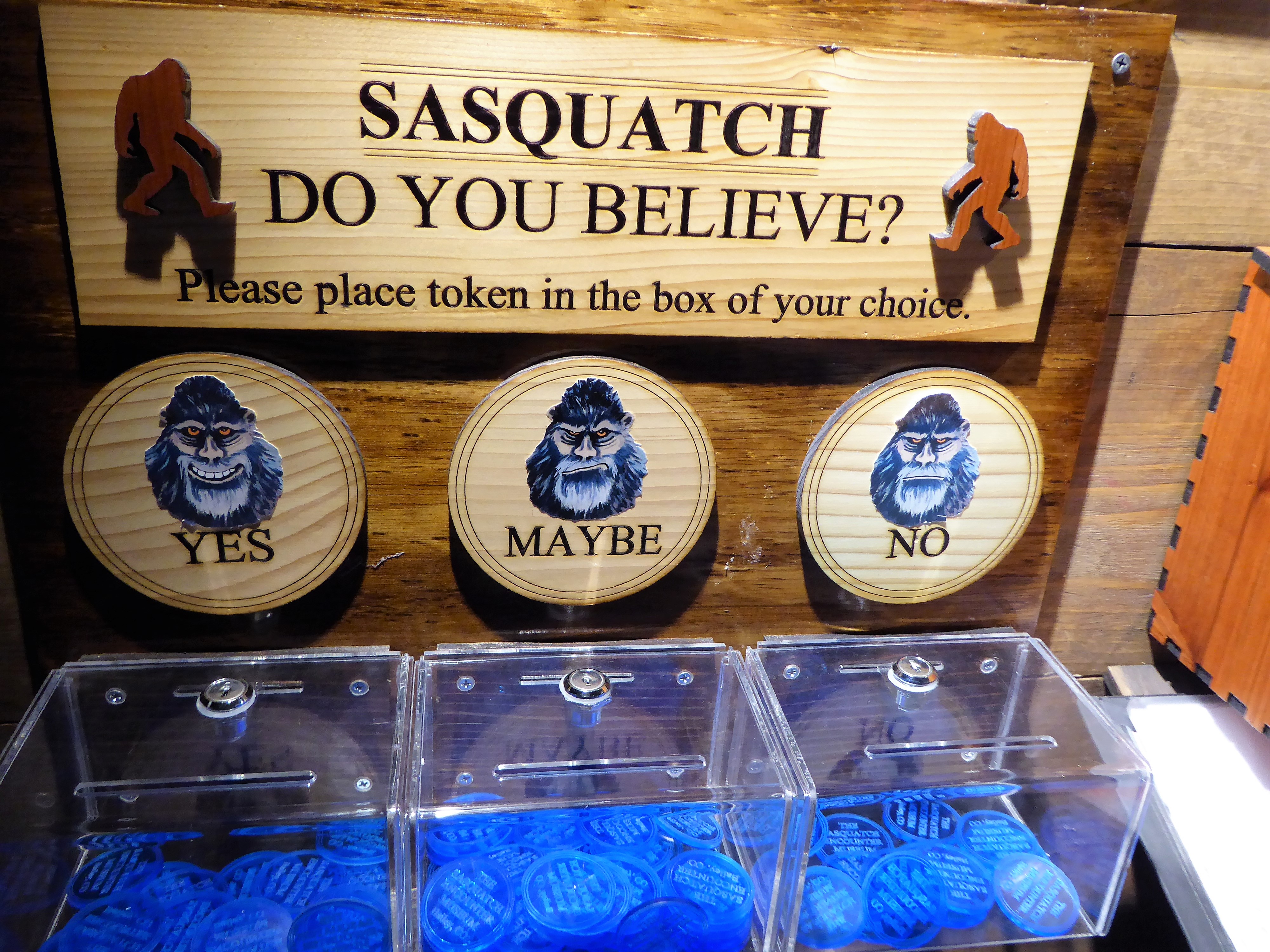 Sasquatch Outpost Poll