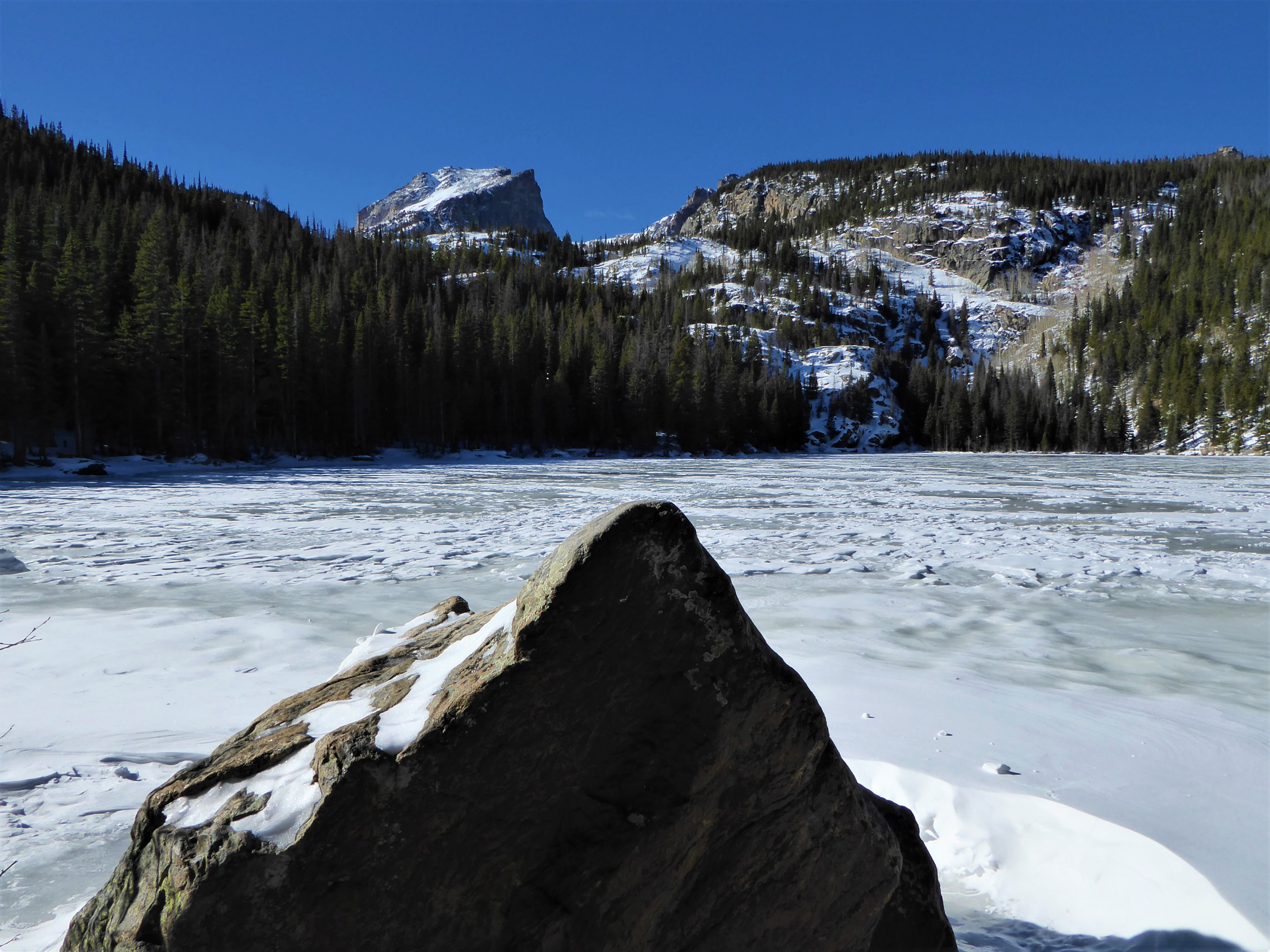 Rocky Mountain National Park Guide for Families