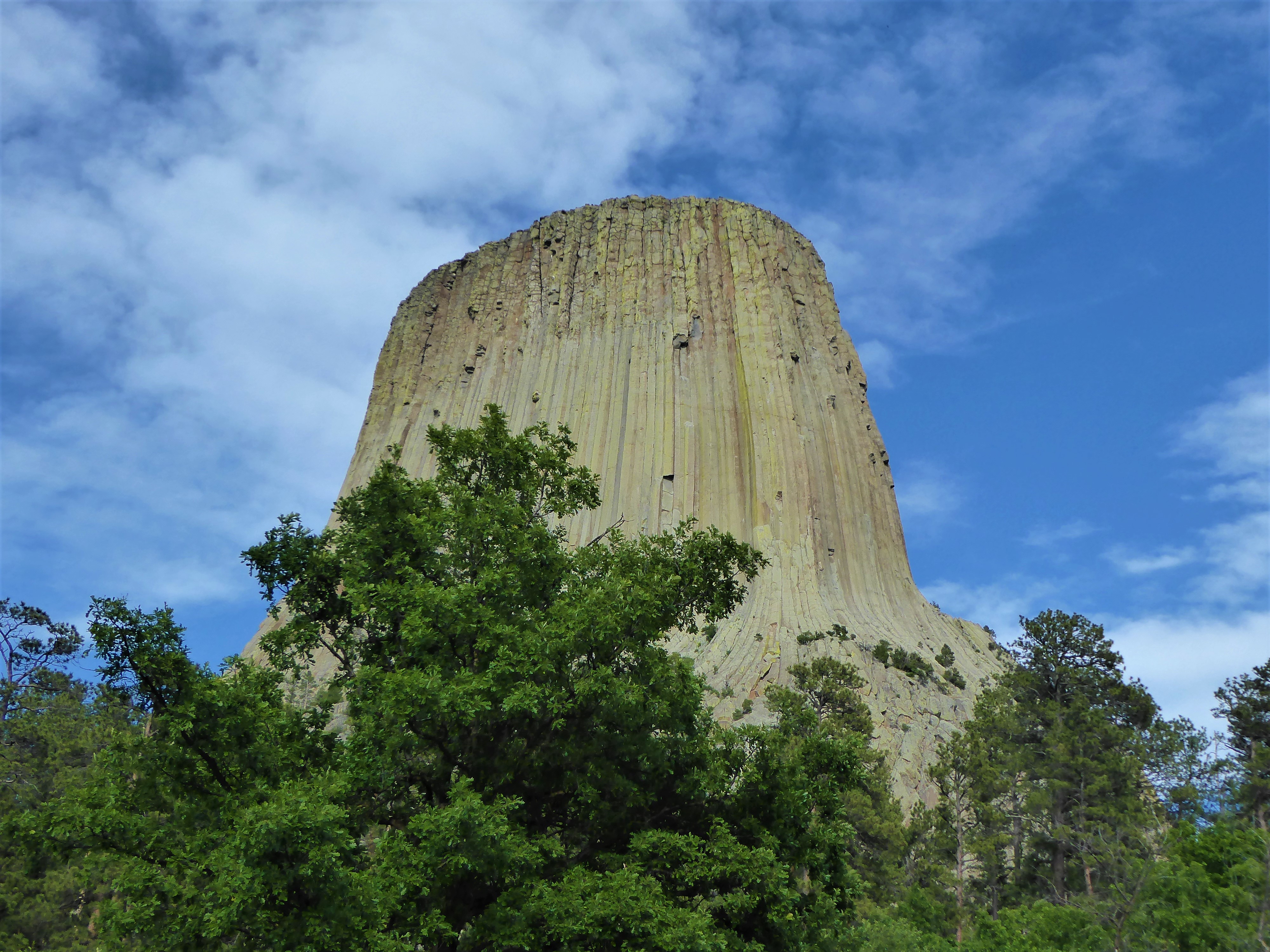 Best Devils Tower Activities for Families